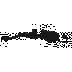 31c124045032.webp