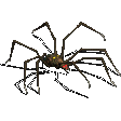 f4e4c69c37d0.webp