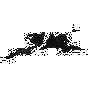 cb881e5e703e.webp