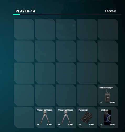 FiveM b3258 GTAProcess fpyKrG7J9V.png