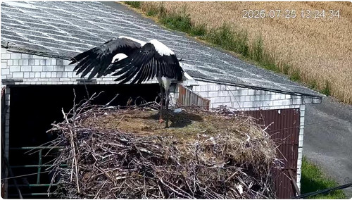MWSnap247.jpg