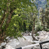 1d3ae35e8c60.jpg
