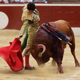 CecG811.th.jpg