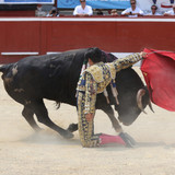 CecV0l9.th.jpg