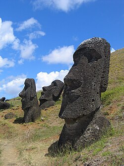 IMG 3336.jpg