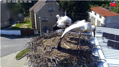 MWSnap340.jpg