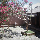 R0021337