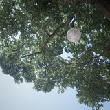 R0021184