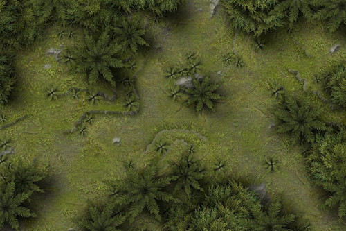 Jungle 72dpi VTT.jpg