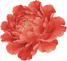 retouch 2026072615324288.png