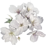 retouch 2026072615222122.png