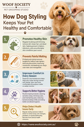 How Dog Styling Keeps Your Pet Healthy and Comfortable.2
