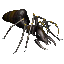 91f9478e9eda.webp