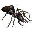 9242000af3cb.webp