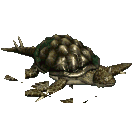 050cb0d366b7.webp