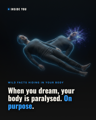 card 79.png