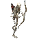 347f5ab96eb0.webp