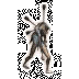 f56e8bc66797.webp