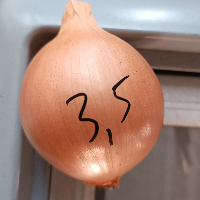 d69d176d1456.png