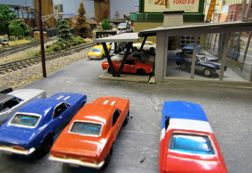 IMG 6335.jpg