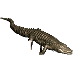 f6482c62e5b0.webp