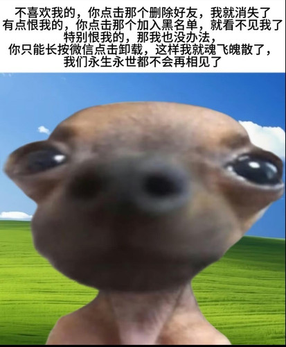 mmexport1785069309116.jpg