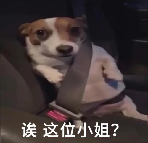 {\"capa_image_quality_ios_image_direct_post_file_size\":\"10240\",\"capa_image_quality_ios_main_flow.jpg