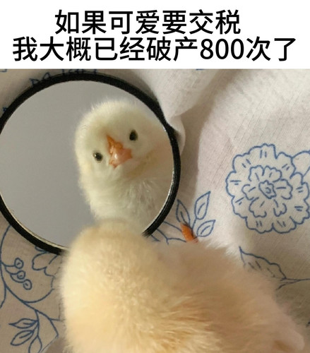 mmexport1785069402161.jpg
