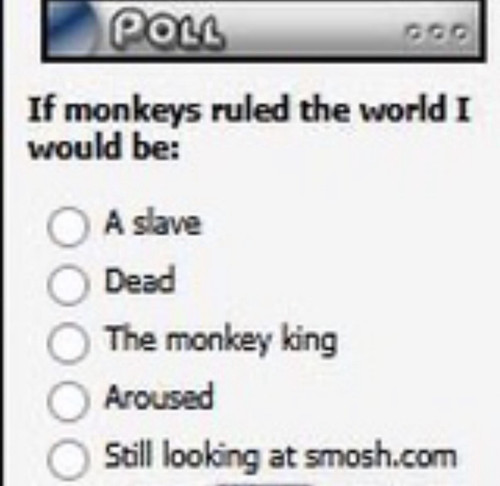 Screenshot.jpg