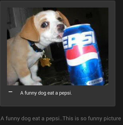 tumblr fdce1476123a840b9ea8995ee7f56abf 23009ad5 1280.jpg