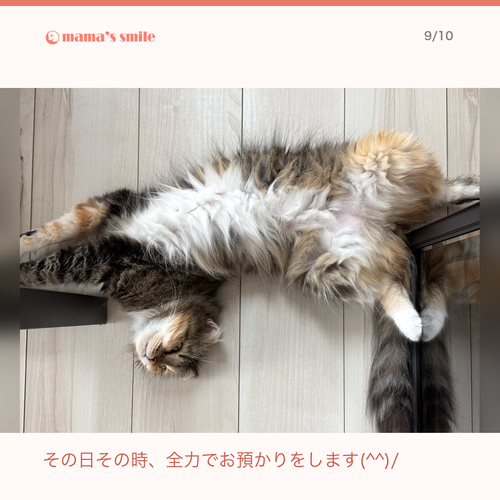 f452e77de628.png