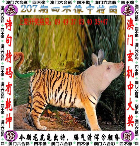 amsbx.jpg