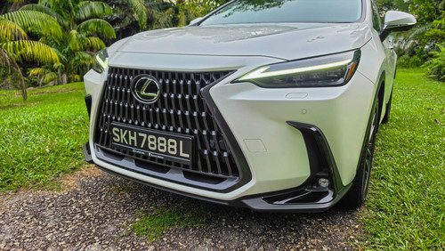 Lexus NX350h_Grille_Front View.jpg