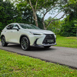 Lexus NX350h_Road View_Front