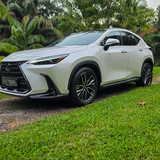 Lexus NX350h_Overview_Hero Image Top