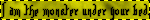 tumblr bcce1fa18077d028e2c7ea04aa20d20a 5de05b4b 250.webp