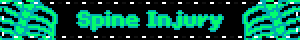 0267 spineinjury.gif