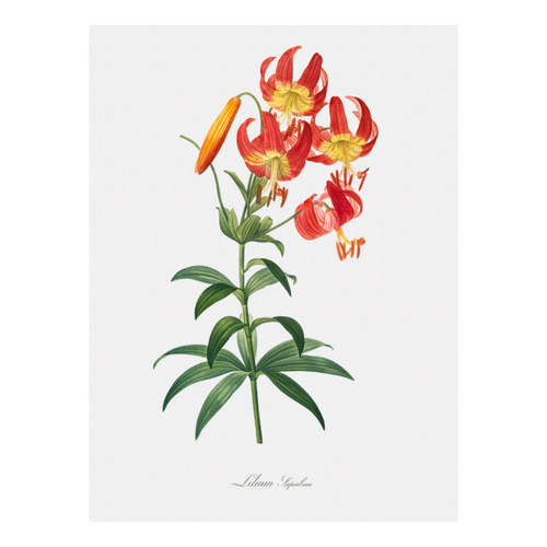 Untitled design (6).jpg