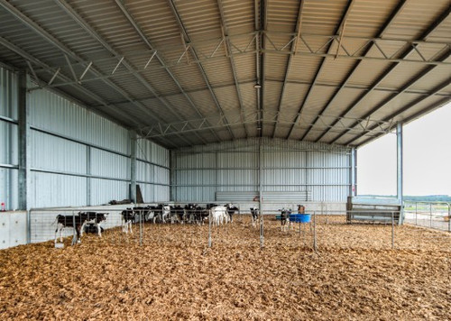 Best service for Concrete Cow Sheds in Whakatane.jpg