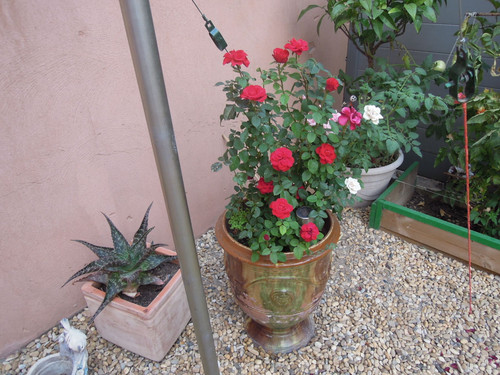 DSCN2675.jpg