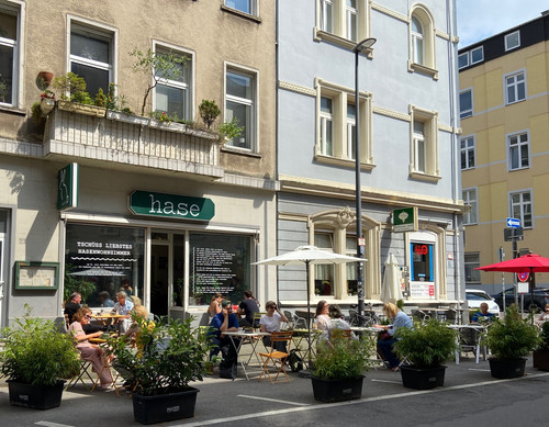 hase 21.jpg