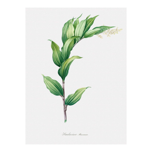 Untitled design (8).jpg