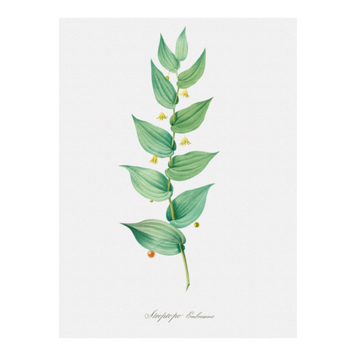 Untitled design (4).jpg