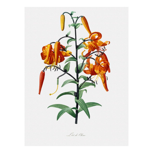 Untitled design (9).jpg
