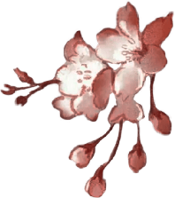 retouch 2026072616131728.png