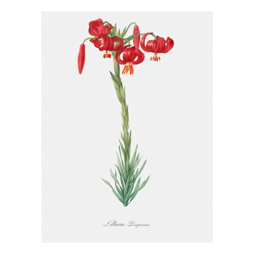 Untitled design (7).jpg