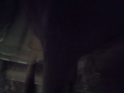 6d8f0ec4b038.jpg