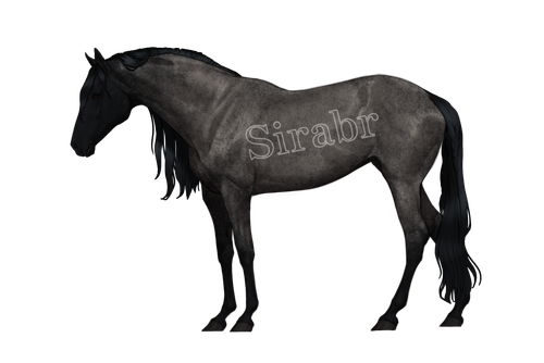 Blue Roan Felmya.png