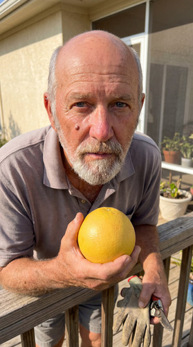 a072562271c2.jpg