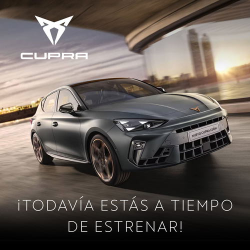 Cupra 3.png